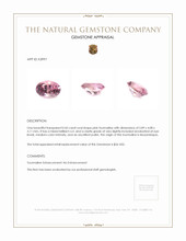 0.43 Ct. Tourmaline from Mozambique Appraisal