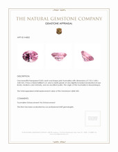 0.83 Ct. Tourmaline from Mozambique Appraisal