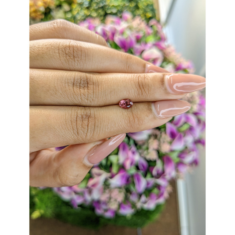 0.54 Ct. Tourmaline from Mozambique