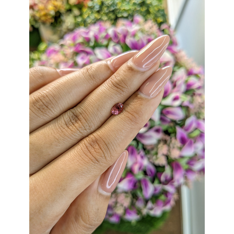 0.54 Ct. Tourmaline from Mozambique