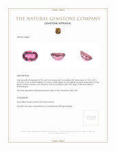 0.78 Ct. Tourmaline from Mozambique Appraisal