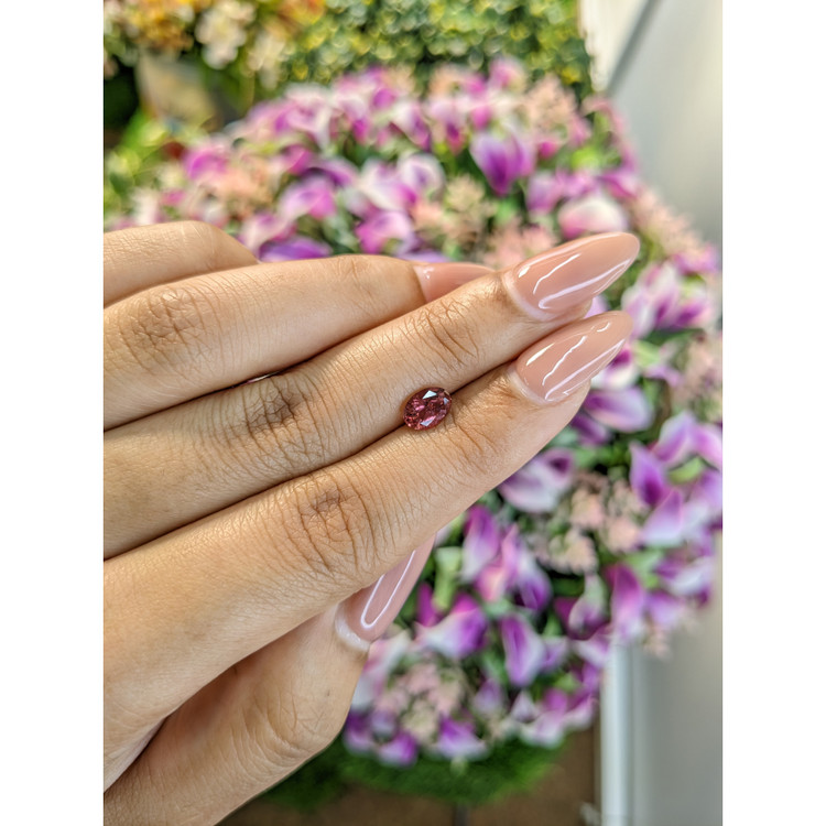 0.72 Ct. Tourmaline from Mozambique