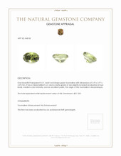 0.51 Ct. Tourmaline from Mozambique Appraisal