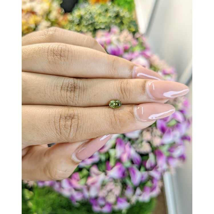 0.51 Ct. Tourmaline from Mozambique