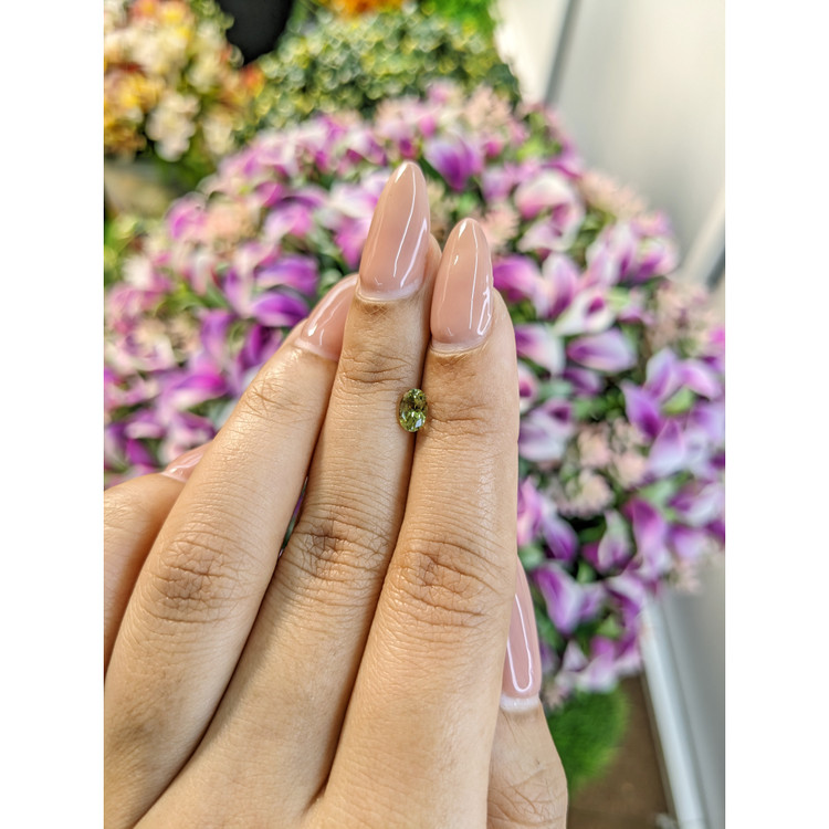 0.51 Ct. Tourmaline from Mozambique