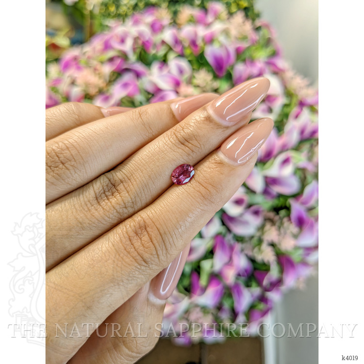 0.62 Ct. Rubellite Tourmaline from Mozambique