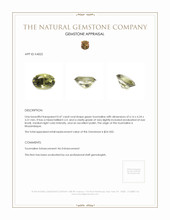0.47 Ct. Tourmaline from Mozambique Appraisal