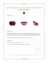 0.78 Ct. Tourmaline from Mozambique Appraisal