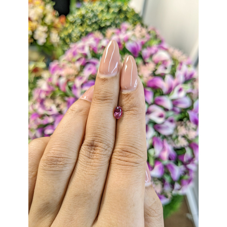 0.57 Ct. Tourmaline from Mozambique