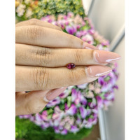 0.49 Ct. Tourmaline from Mozambique Life Style