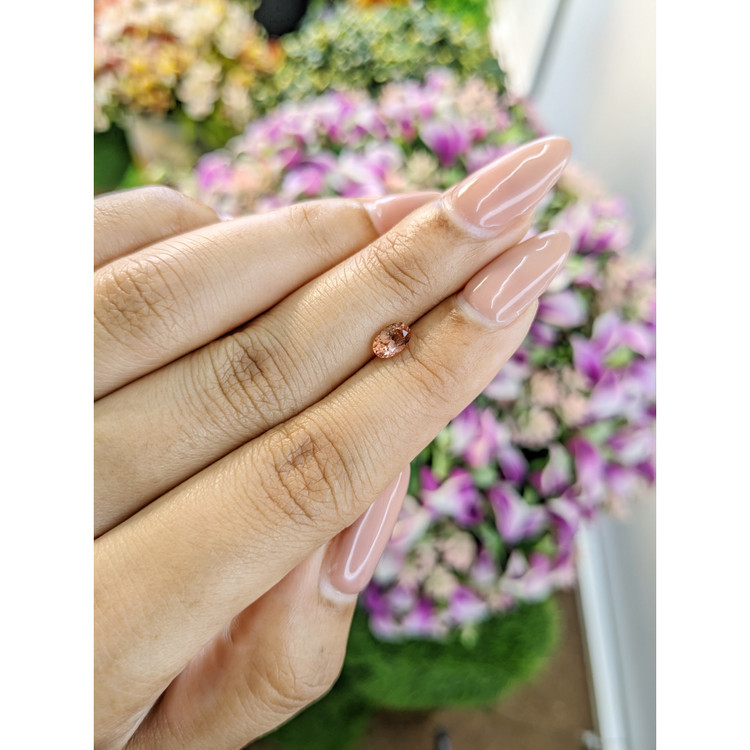 0.53 Ct. Tourmaline from Mozambique