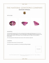 0.92 Ct. Tourmaline from Mozambique Appraisal
