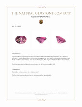 0.92 Ct. Tourmaline from Mozambique Appraisal