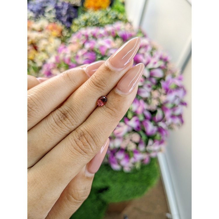 0.53 Ct. Rubellite Tourmaline from Mozambique