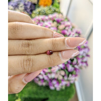 0.53 Ct. Rubellite Tourmaline from Mozambique Life Style