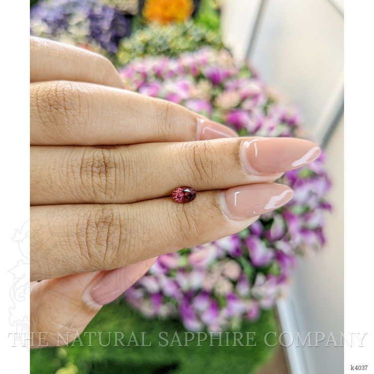 0.53 Ct. Rubellite Tourmaline from Mozambique