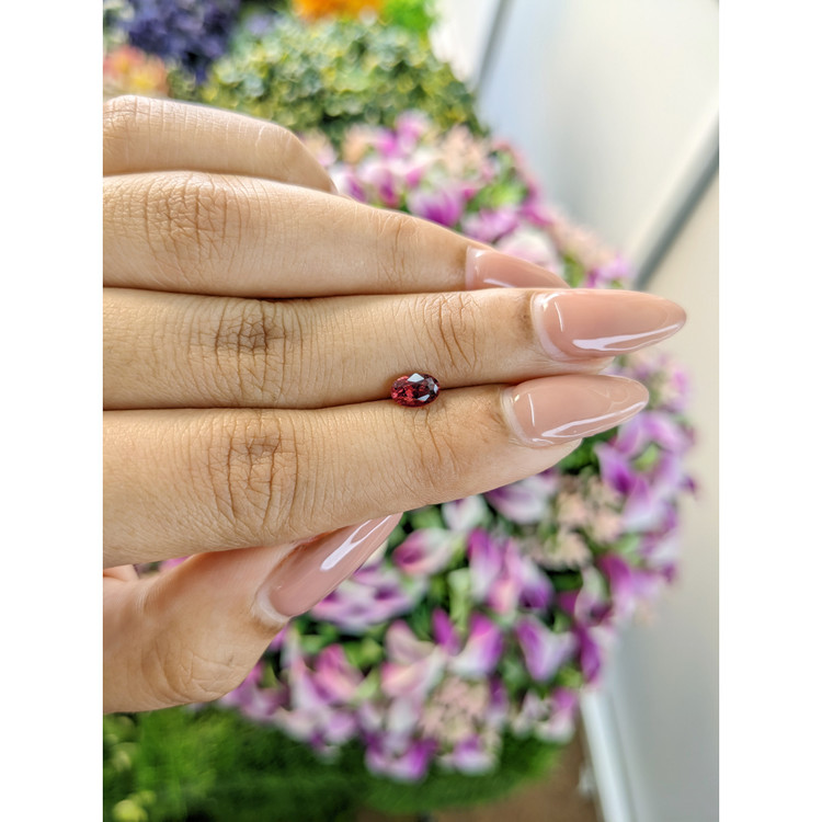 0.56 Ct. Rubellite Tourmaline from Mozambique