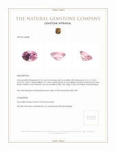 0.52 Ct. Tourmaline from Mozambique Appraisal