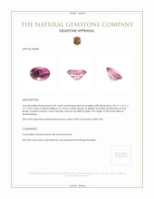 0.49 Ct. Tourmaline from Mozambique Appraisal