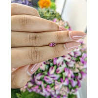 0.49 Ct. Tourmaline from Mozambique Life Style