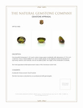 Jewelry Appraisal