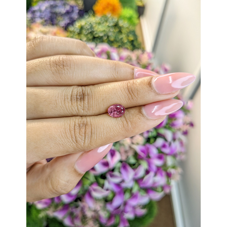 1.38 Ct. Tourmaline from Mozambique