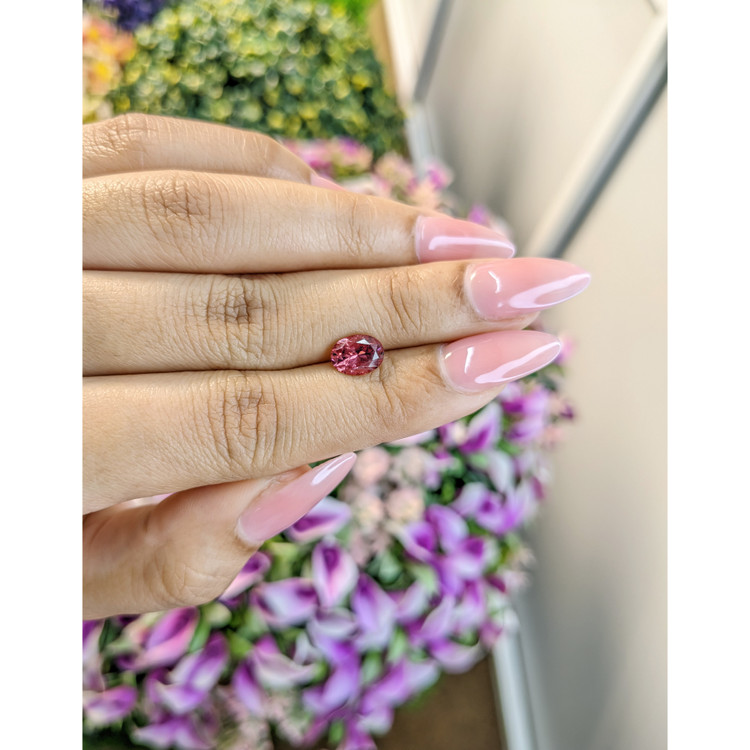 1.43 Ct. Tourmaline from Mozambique