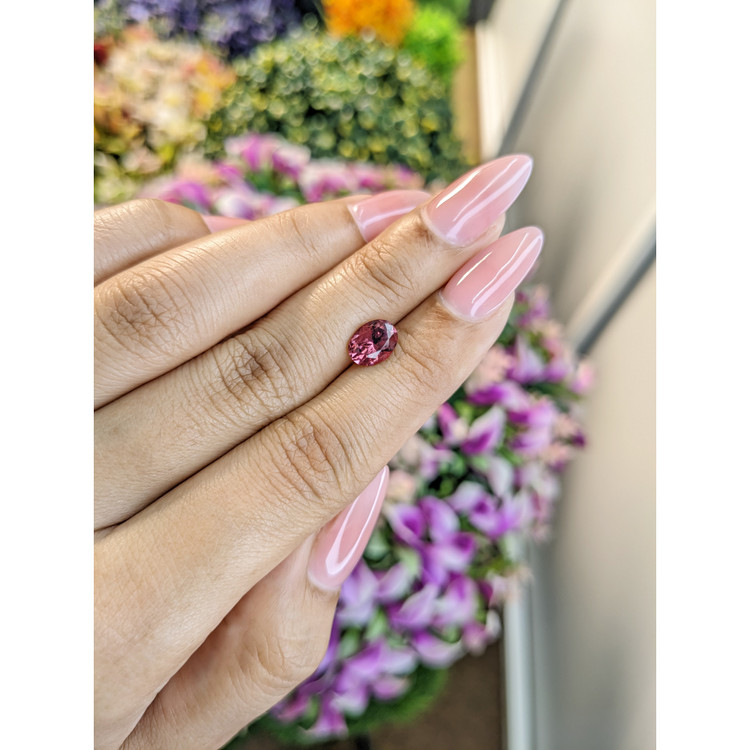 1.43 Ct. Tourmaline from Mozambique