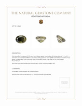 0.93 Ct. Tourmaline from Mozambique Appraisal