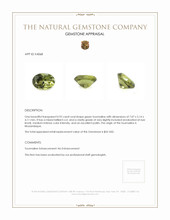 Jewelry Appraisal