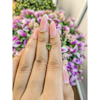0.92 Ct. Tourmaline from Mozambique Life Style