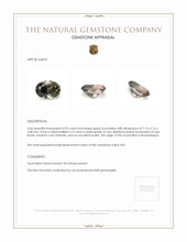 0.92 Ct. Tourmaline from Mozambique Appraisal