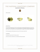 0.92 Ct. Tourmaline from Mozambique Appraisal