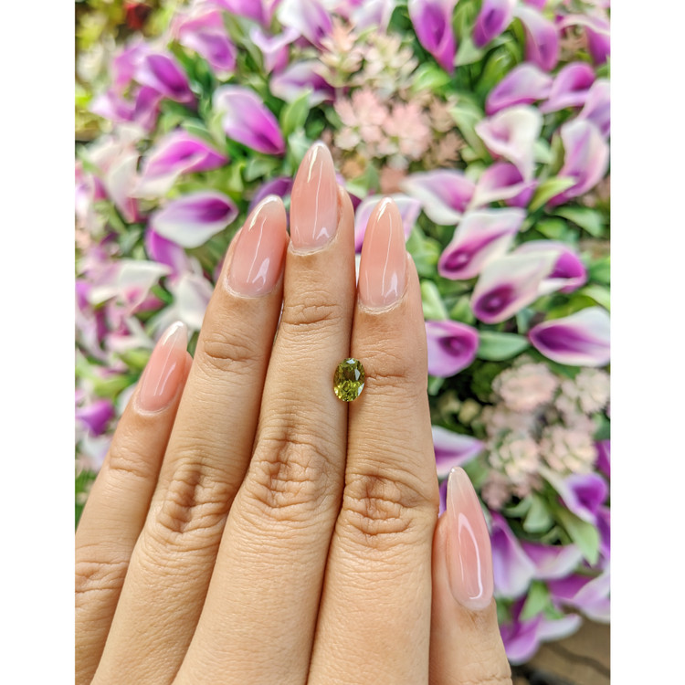 0.92 Ct. Tourmaline from Mozambique