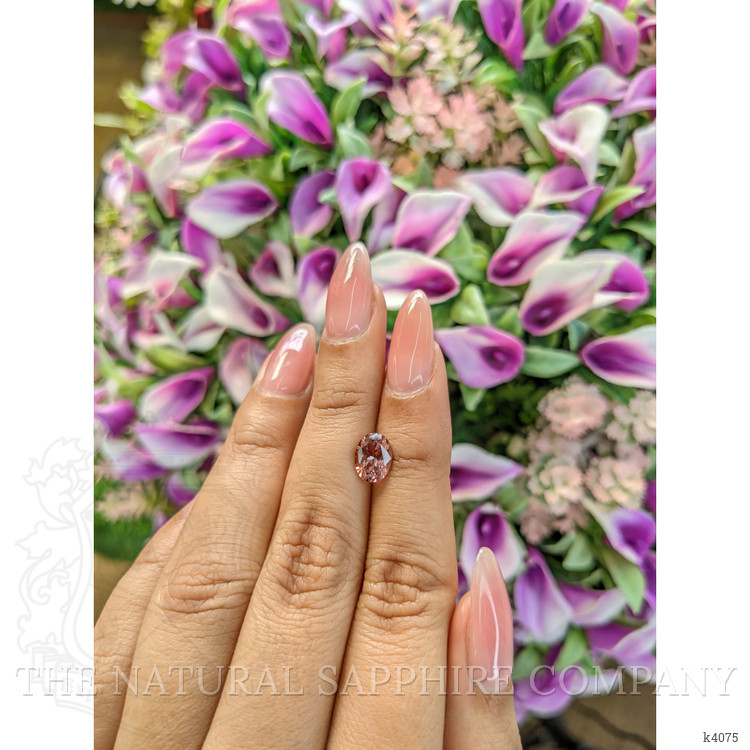 1.38 Ct. Tourmaline from Mozambique