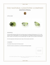 0.88 Ct. Tourmaline from Mozambique Appraisal