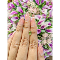 0.88 Ct. Tourmaline from Mozambique Life Style
