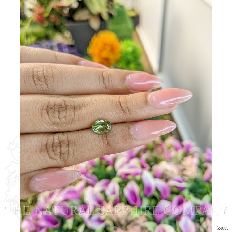 1.48 Ct. Tourmaline from Mozambique