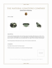 0.84 Ct. Tourmaline from Mozambique Appraisal