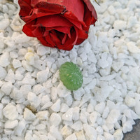 21.01 Ct. Cabochon Jade from Burma (Myanmar) Life Style