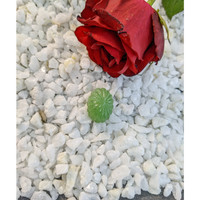 21.01 Ct. Cabochon Jade from Burma (Myanmar) Life Style