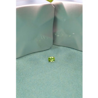 1.70 Ct. Chrome Diopside from Brazil Life Style