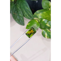 11.65 Ct. Tourmaline from Brazil Life Style