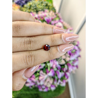 1.68 Ct. Garnet from Ceylon (Sri Lanka) Life Style