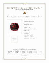 2.75 Ct. Garnet from Ceylon (Sri Lanka) Scan Report