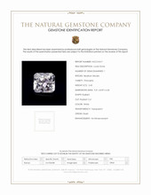Jewelry Scan Report