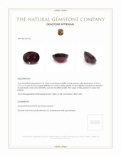 2.76 Ct. Garnet from Ceylon (Sri Lanka) Appraisal