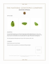 3.16 Ct. Peridot from Madagascar Appraisal