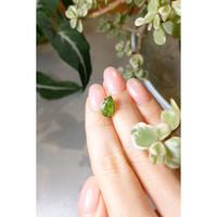 3.16 Ct. Peridot from Madagascar Life Style