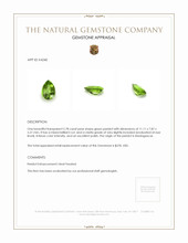2.78 Ct. Peridot from Madagascar Appraisal